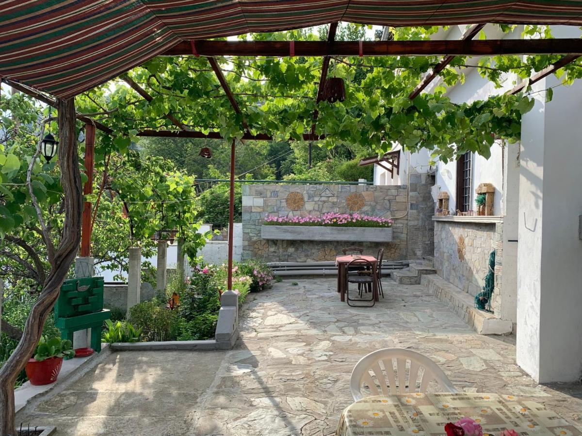 Η Θεα Traditional House Makriníca Kültér fotó
